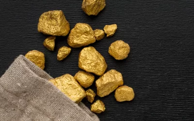 Discovery of the World’s Largest Gold Deposit